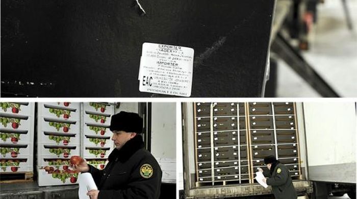 59 тонн польских яблок задержаны на границе с Белоруссией