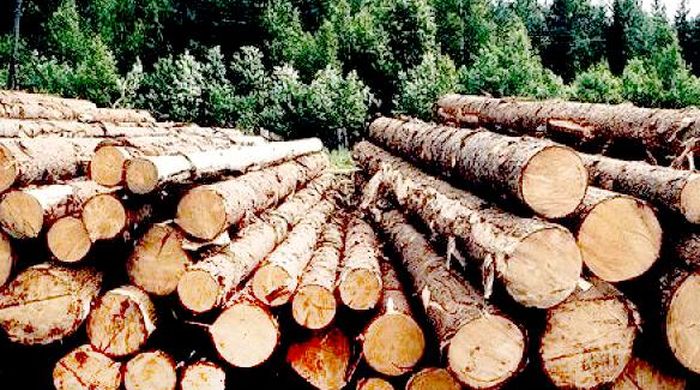 Экспорт лесоматериалов из Сибири снизился на 0,4%