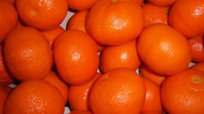 60% грузинских мандаринов отправлены на российский рынок