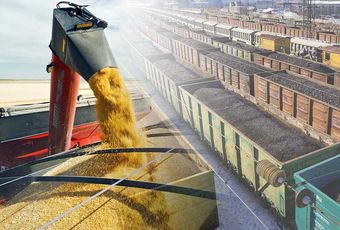 Утверждены правила возмещения РЖД потерь от льгот на перевозку зерна